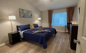 Upscale Long Stay -King Bed - Pool - Wifi - Tampa Palms - Moffitt - Gated - Pets Ok - In New Tampa By Hunters Green - Live Oak - Cory Lake Isles Area -1